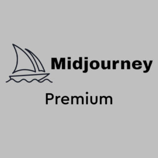Midjourney Pro Plan 1 Aylık