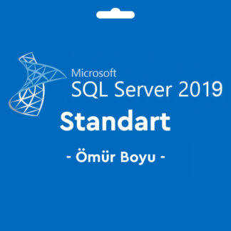 Microsoft SQL Server 2019 Standard Key Lisans Anahtarı
